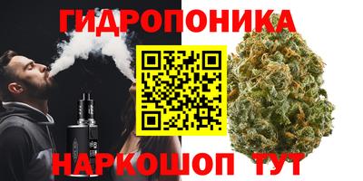 ПСИЛОЦИБИНОВЫЕ ГРИБЫ Новокубанск