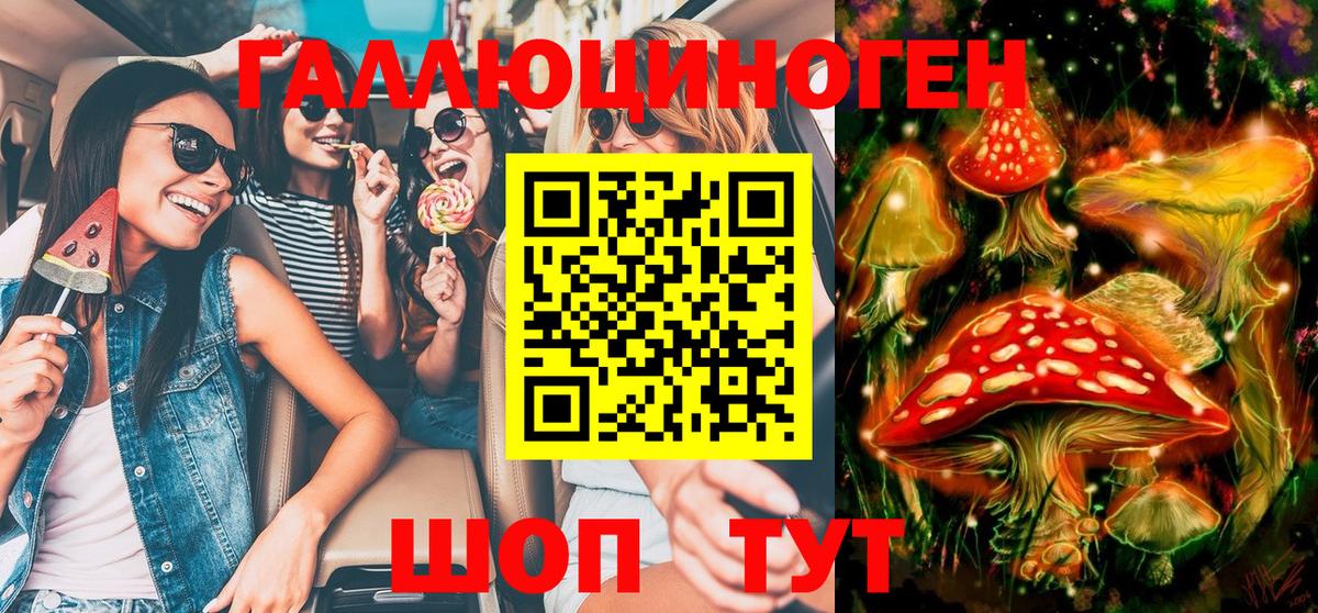 Галлюциногенные грибы Psilocybe Рыбинск