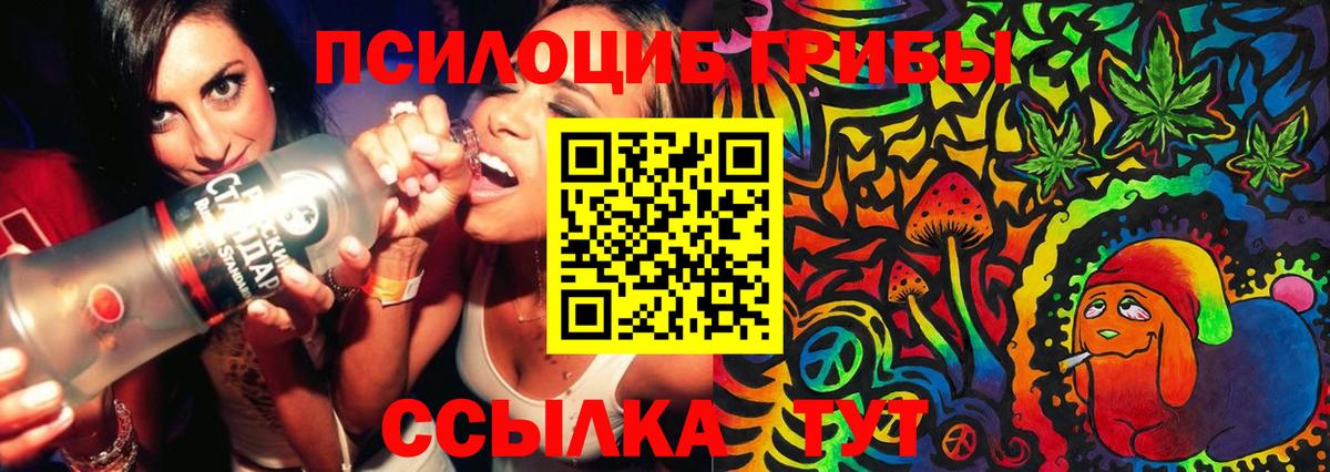 Галлюциногенные грибы Psilocybe  Вход с VPN  Рыбинск 